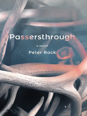 cover image of Passersthrough